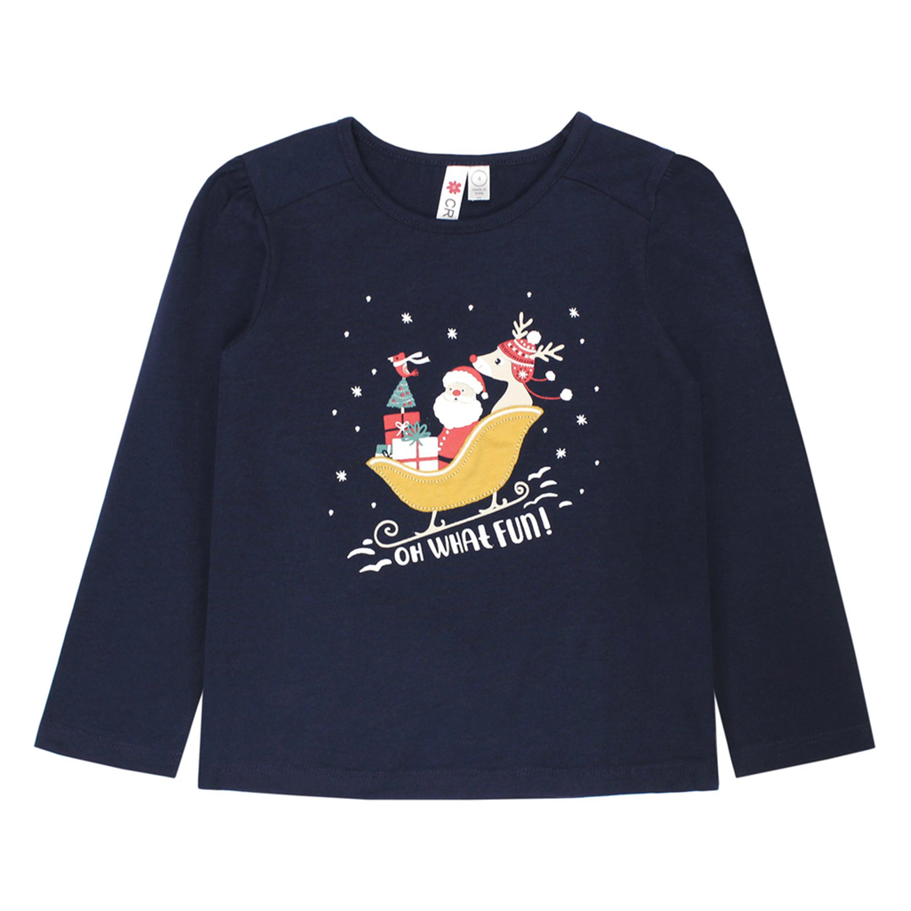 Santa Sleigh Top