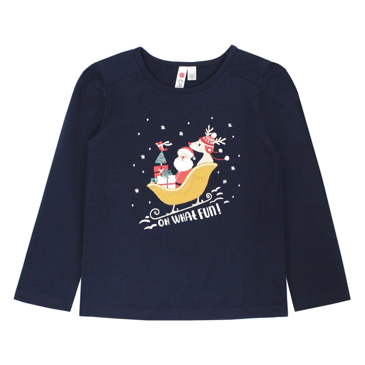 Santa Sleigh Top