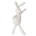 Fruity Tooty Bunny