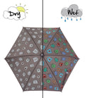 Holly and Beau Umbrellas