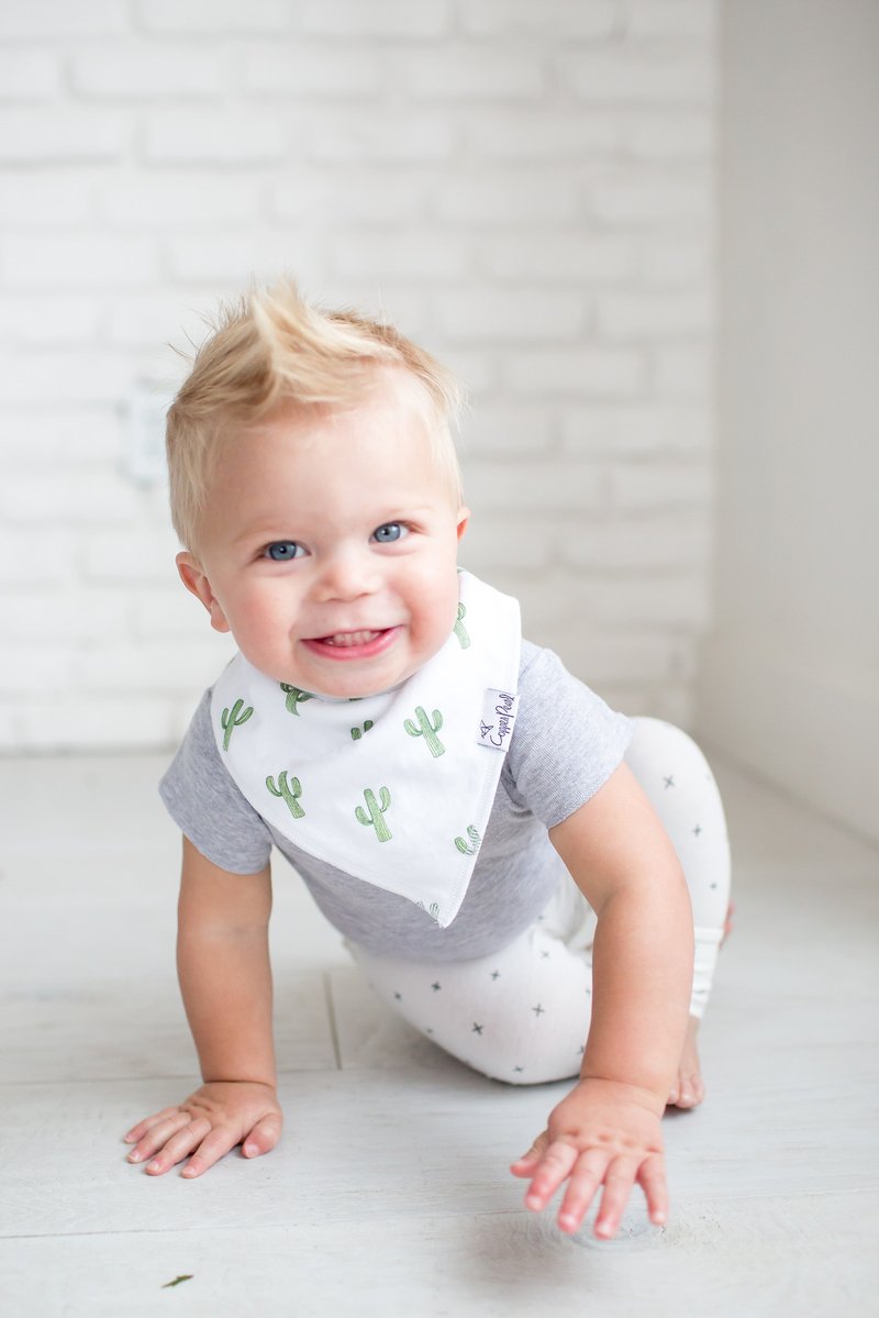 Copper Pearl Bandana Bibs