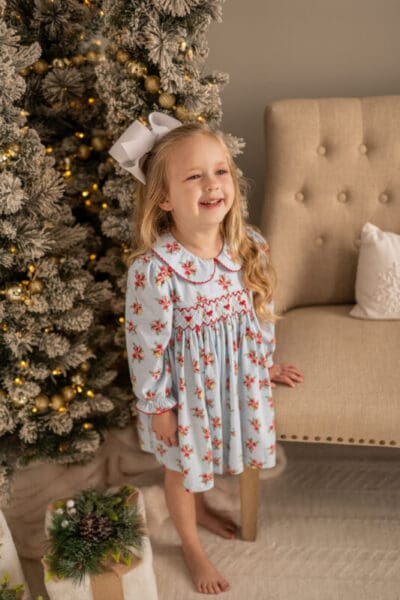 Merry & Bright Smocked Dress