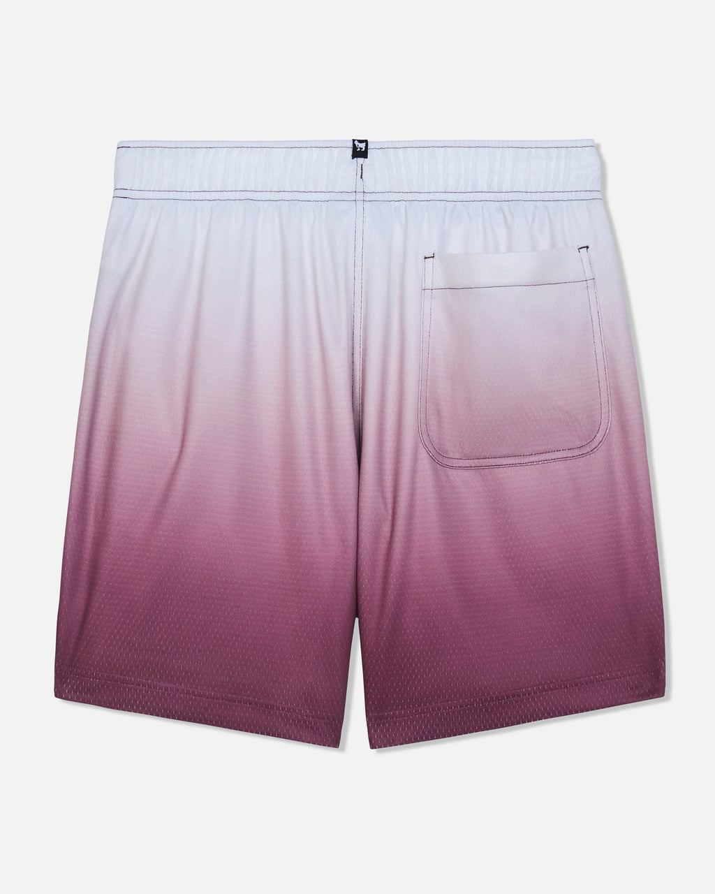 G Patch Ombre Shorts