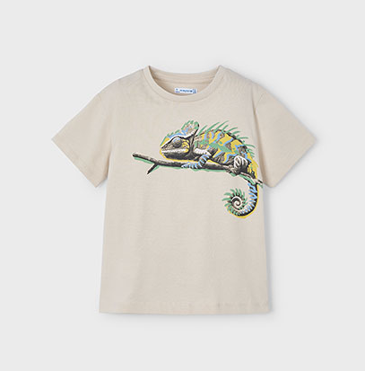 Boy's Graphic Tee Short Sleeve