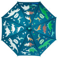 Color Changing Umbrella