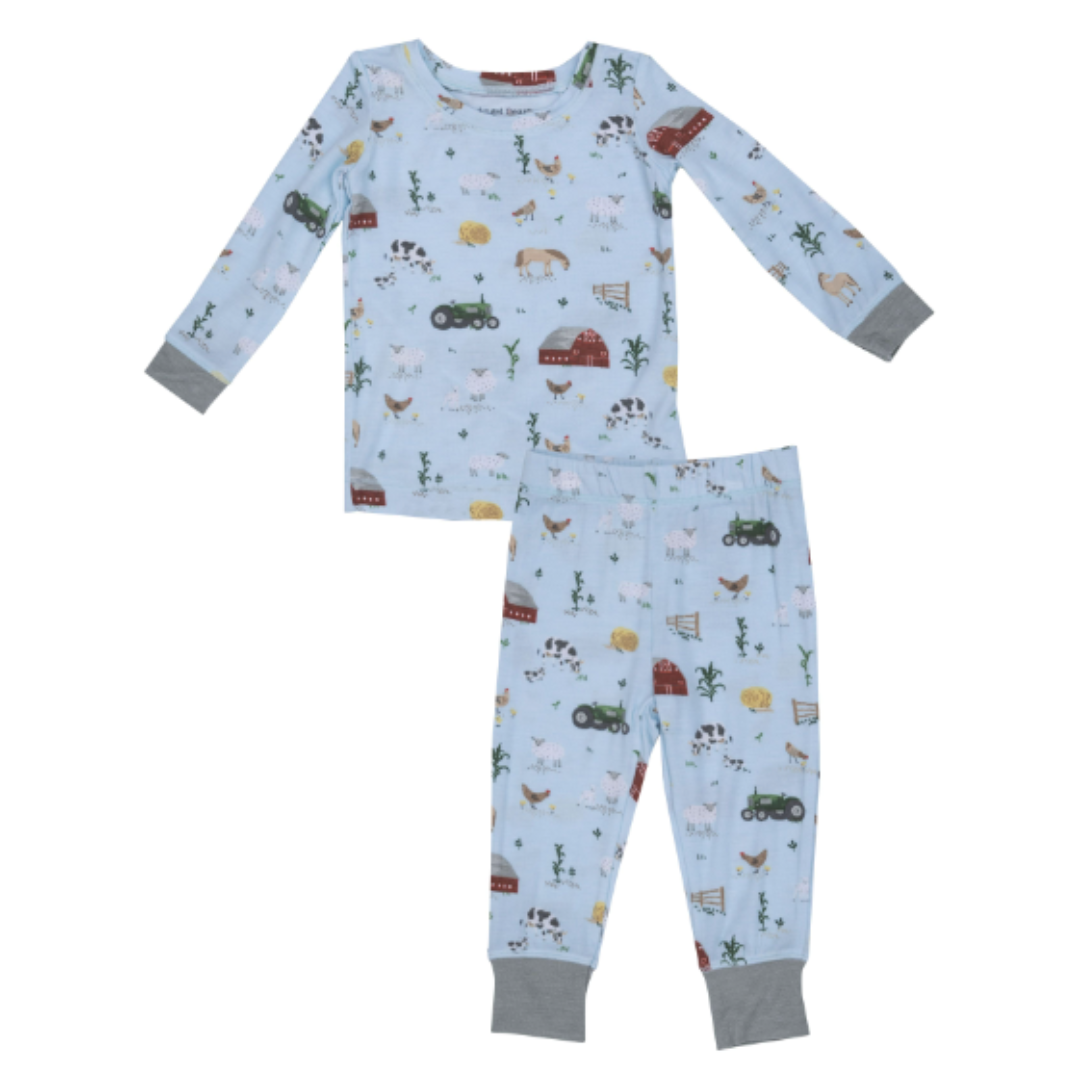 Boys L/S 2 pc Pj Set