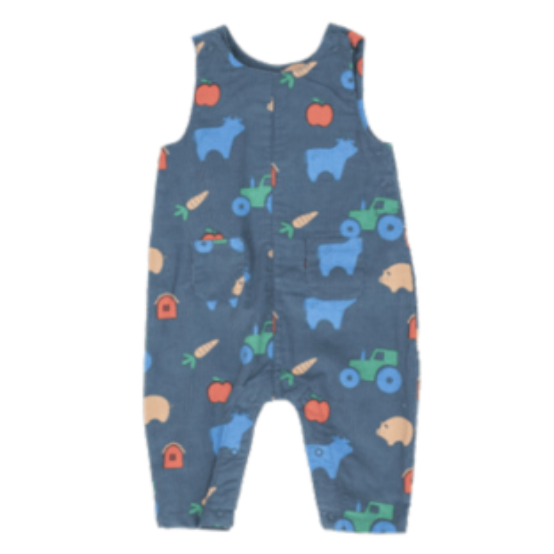 Baby Boy's Overall