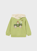 Baby & Toddler Boy Hoodie