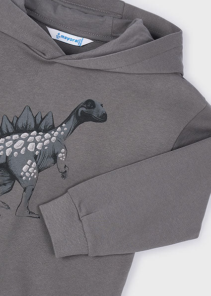 Dino Graphic Hoodie