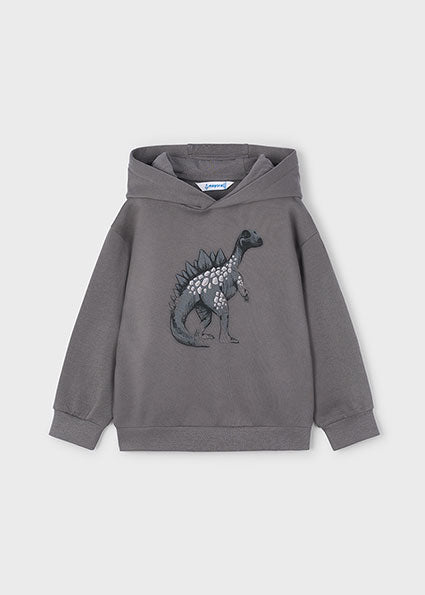 Dino Graphic Hoodie