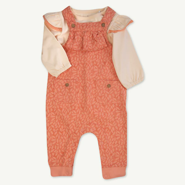 Baby & Toddler 2 pc Ginger Leaves Overall Set
