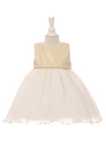 Baby Special Occasion Dress