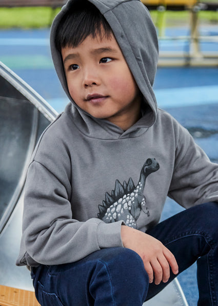 Dino Graphic Hoodie