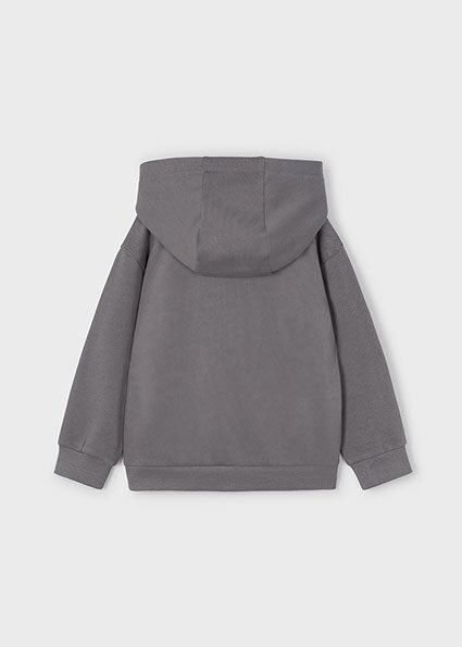Dino Graphic Hoodie