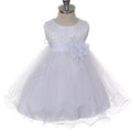 Baby Special Occasion Dress