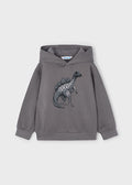 Dino Graphic Hoodie